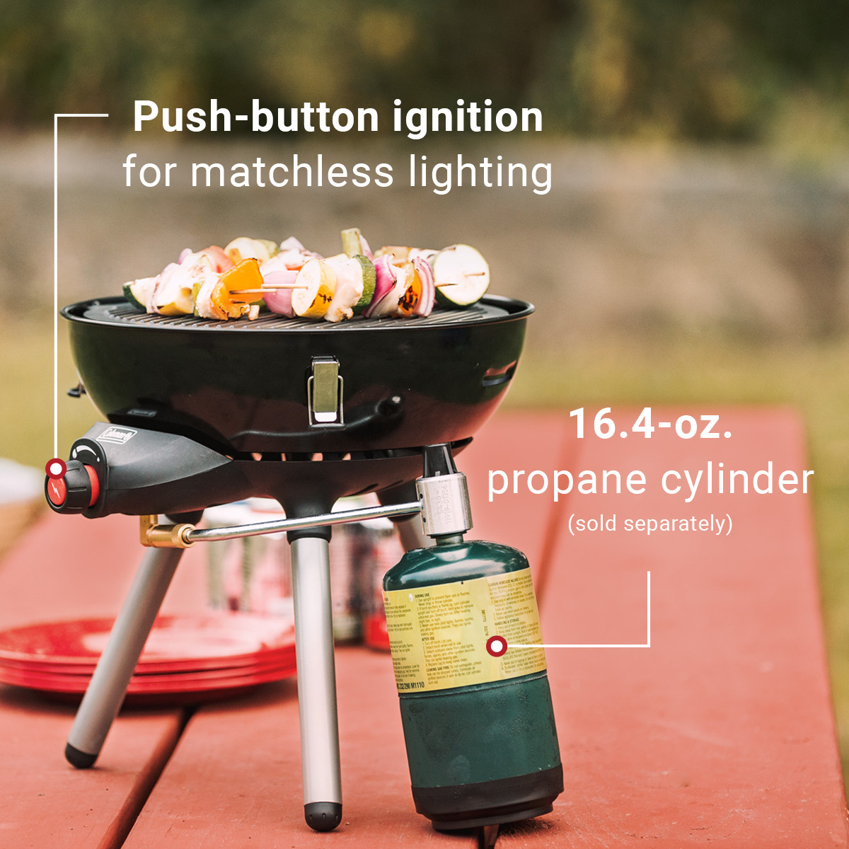 4-in-1 Portable Propane Gas Cooking System | Coleman