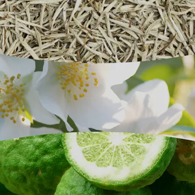 White Tea & Jasmine Candle