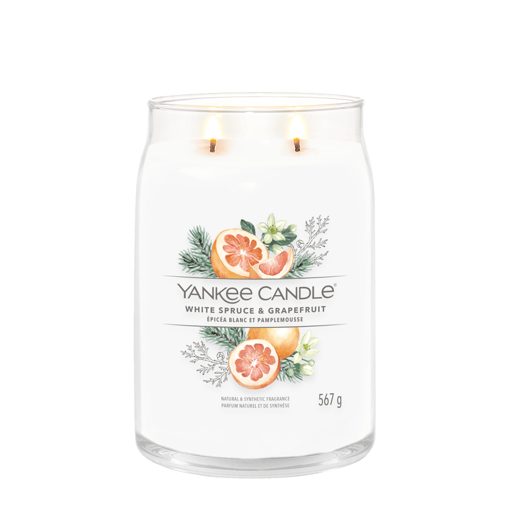 White Spruce Grapefruit Große Signature Kerze im Glas Große