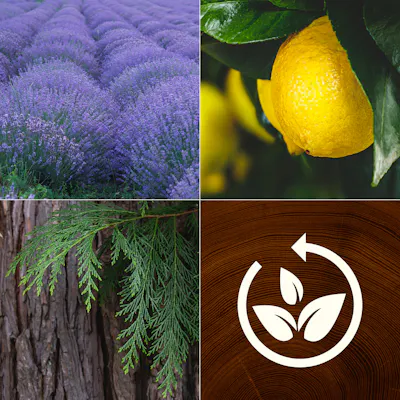 Lavender & Cypress Candle