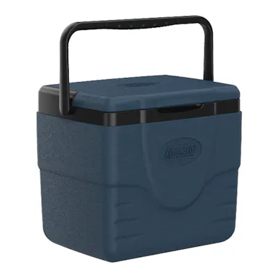 Chiller&trade; 9-Quart Portable Cooler