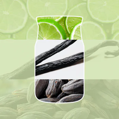 Vanilla Lime Kerze
