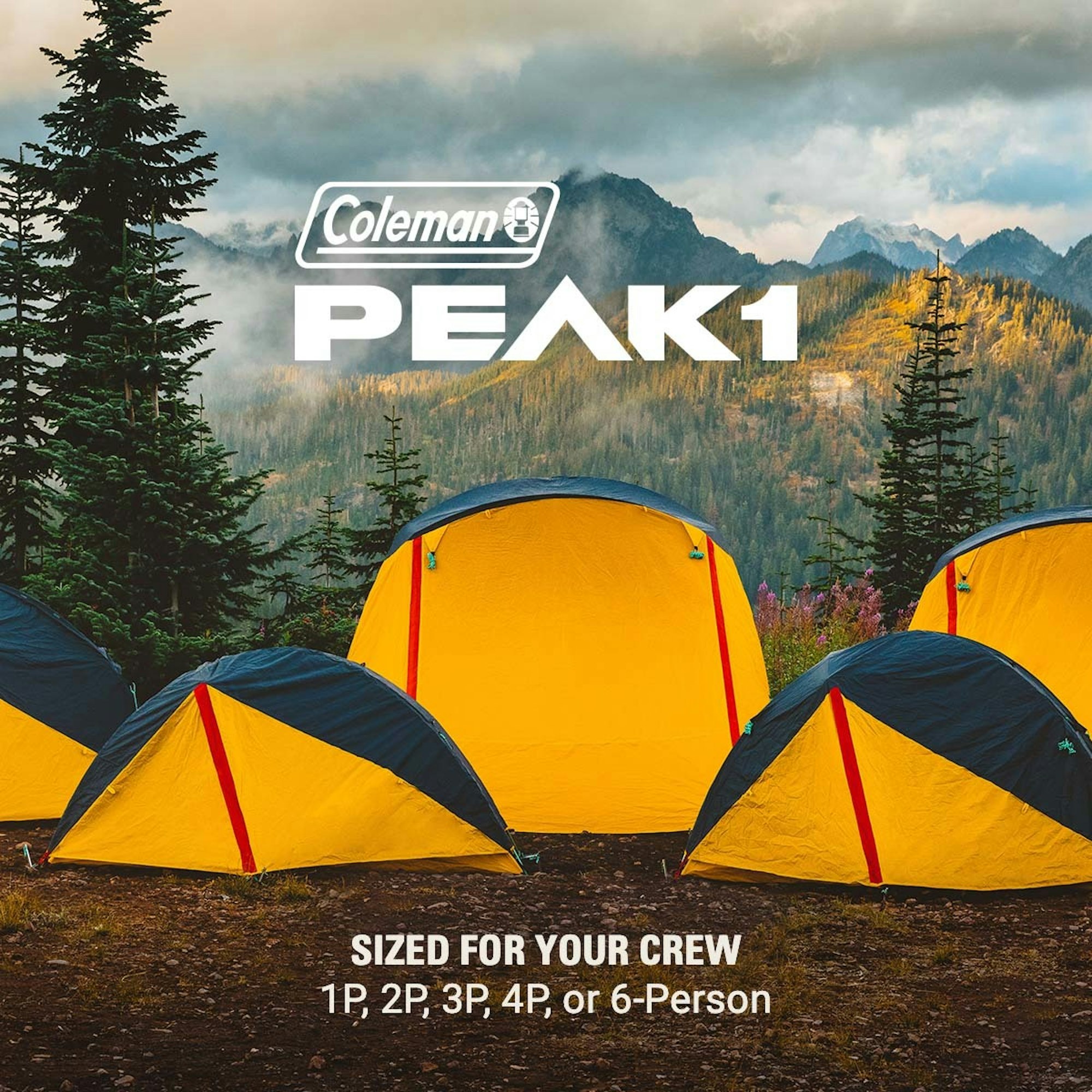 Coleman　 PEAK 1 Coleman Butane Propane Peak 1 Camp Stove - Walmart.com