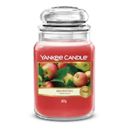 MacIntosh Apple Candle