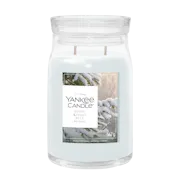 Candela Snow Kissed Pine