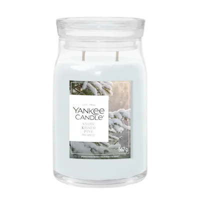 Candela Snow Kissed Pine