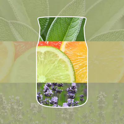 Sage & Citrus Candle