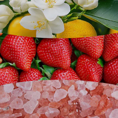 Coastal Sunberry Kerze