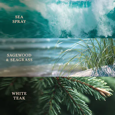 Driftwood Shores Kerze