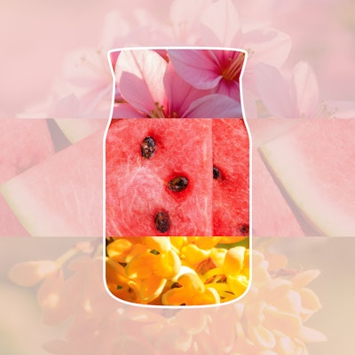 Pink Sands Diffuser Starterset