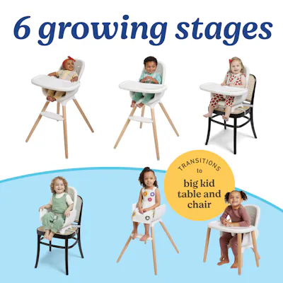 Table2Table&trade; Lux 6-in-1 Highchair
