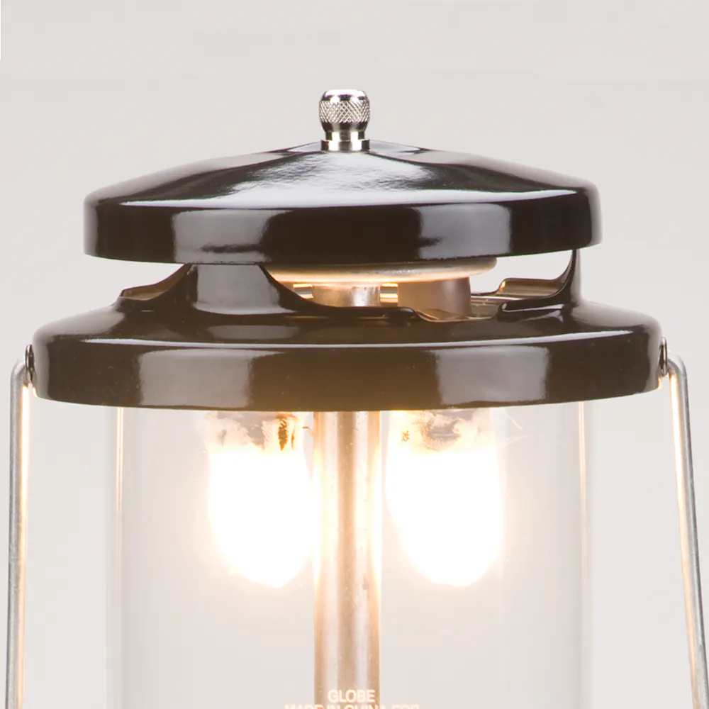 Deluxe Propane Lantern with Case | Coleman