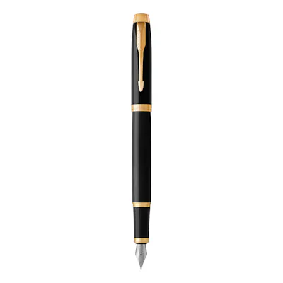 Parker IM Fountain Pen