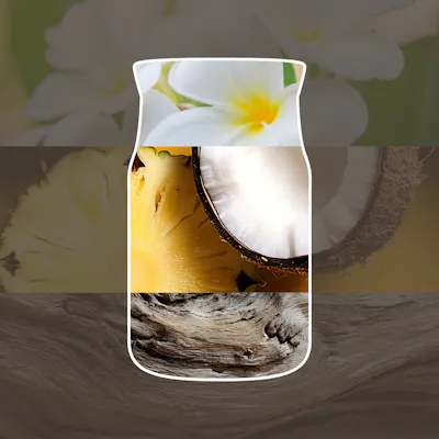 Black Coconut Car Air Freshener