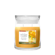 Starfruit & Sunshine Candle
