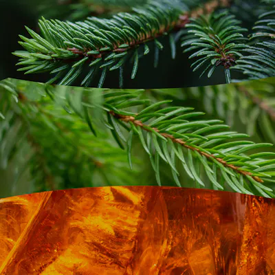 Fraser Fir Candle