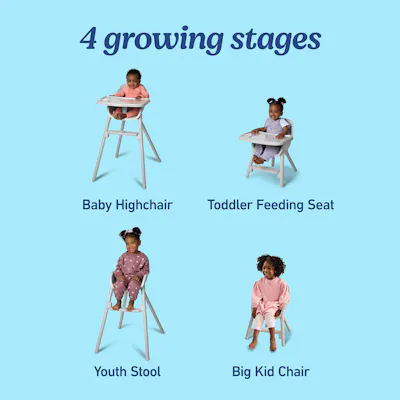 Ready2Dine&trade; 4-in-1 Highchair