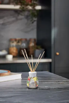 Iced Berry Lemonade Diffuser