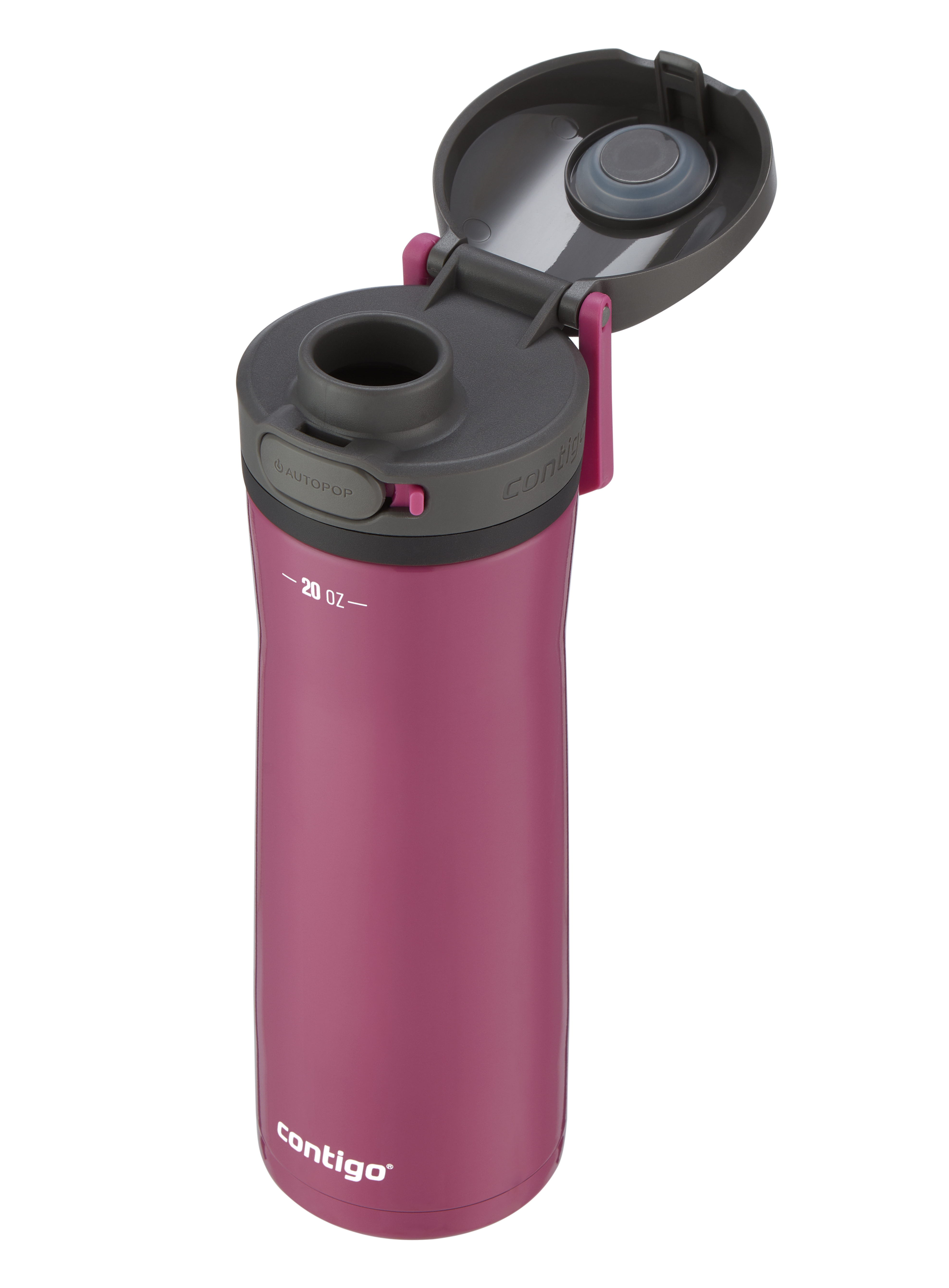 Contigo Jackson Chill 2.0 Water Bottle with AUTOPOP Lid, 20 oz (591 mL) |  Contigo CA
