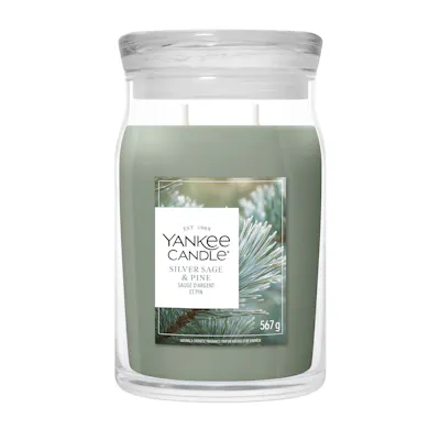 Silver Sage & Pine Kerze