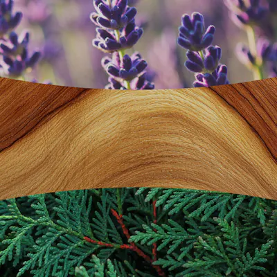 Lavender & Cedar Candle