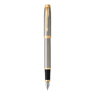 Parker IM Fountain Pen