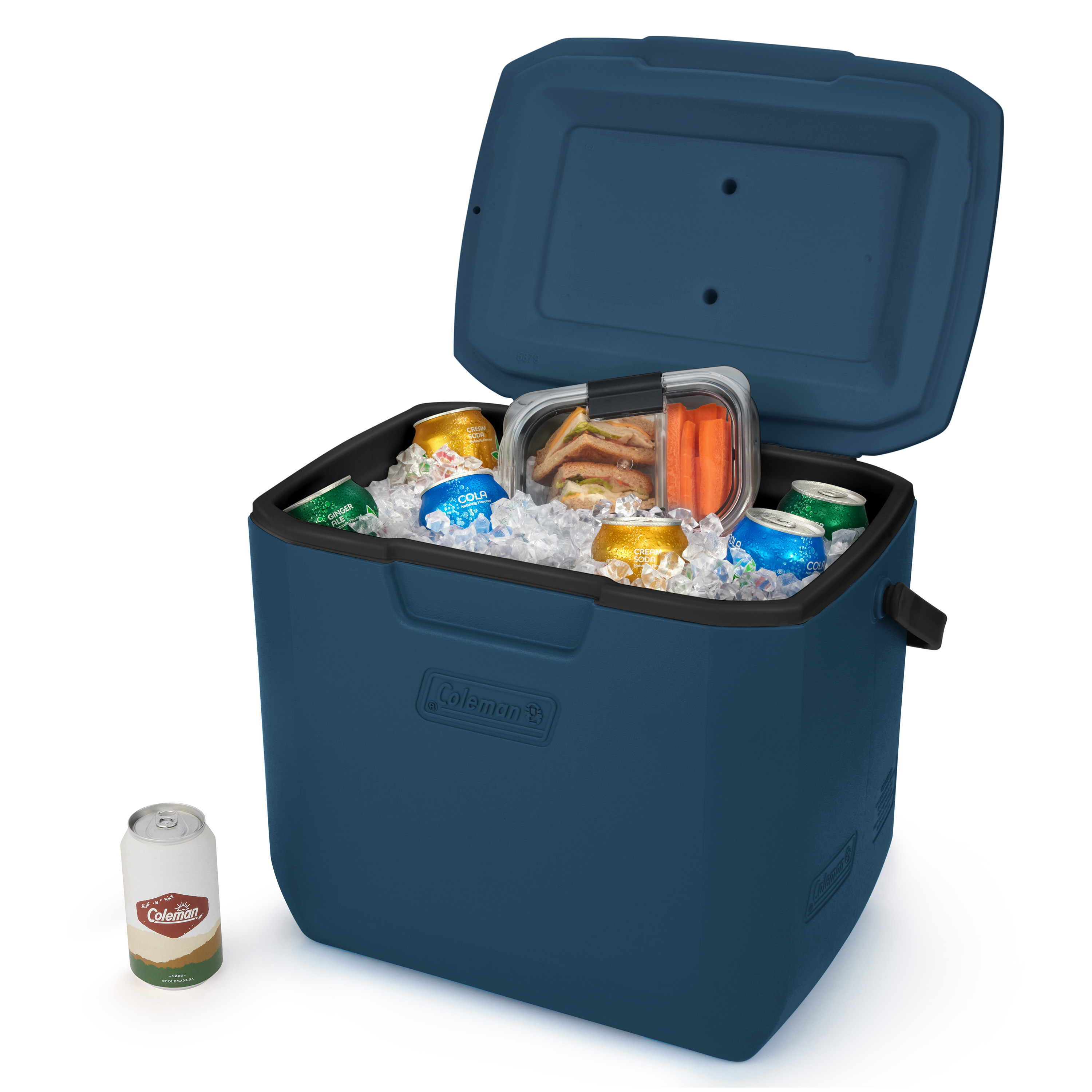 Chiller™ 30-Quart Portable Cooler | Coleman