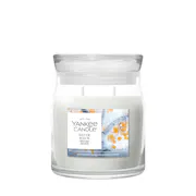Silver Birch Candle
