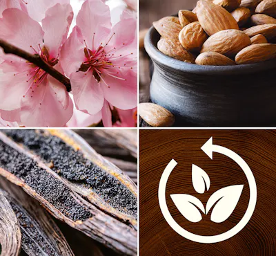 Cherry Blossom & Vanilla Kerze