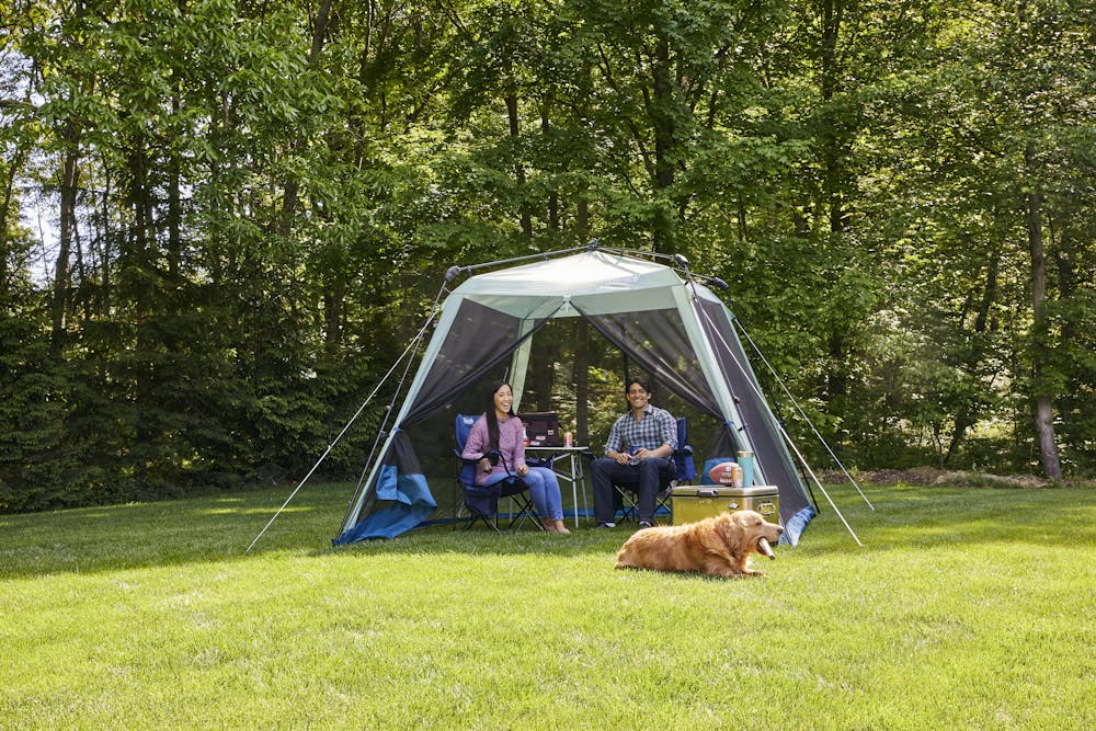 「*⋆❁*Cameron*❁⋆*～断捨離中」 69fcc7ae-bbfc-3632-8d78-