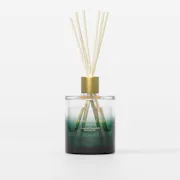Coastal Snowfall Diffuser