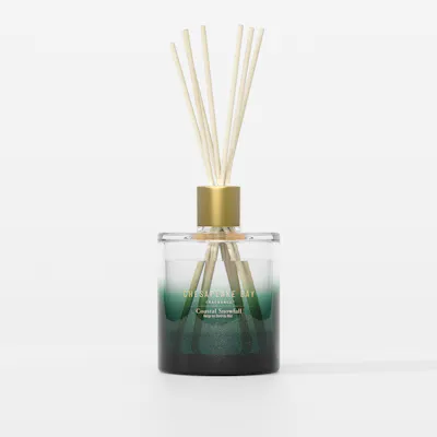 Coastal Snowfall Diffuser