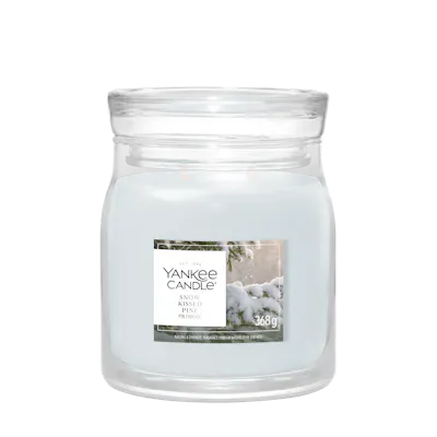 Candela Snow Kissed Pine