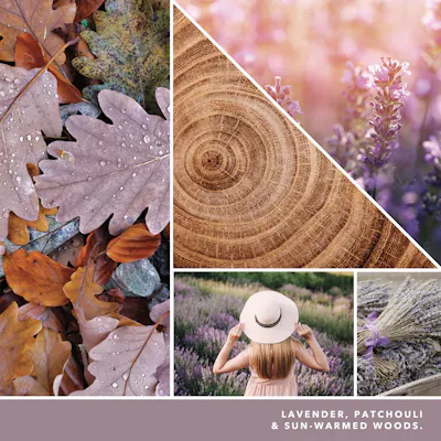 photo collage with text that reads lavender patchouli and sun warmed woods