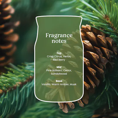 Balsam & Cedar Fireside Candle