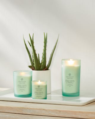 Balance & Harmony Candle (Waterlily Pear)