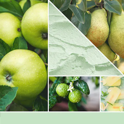 Green Apple Sorbet Candle