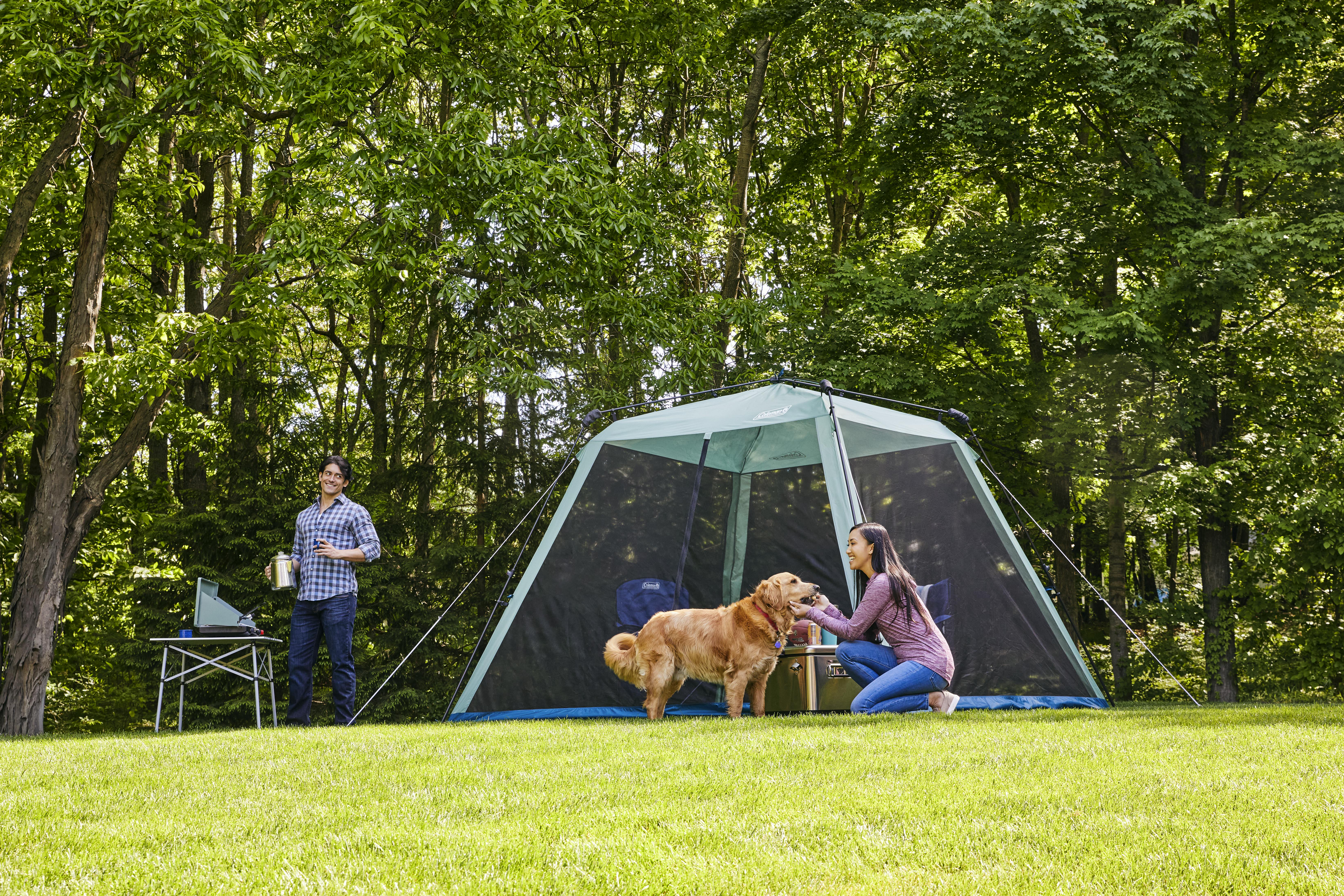 Coleman Screen Canopy Joint Tarp Il テント Amazon.co.jp: Coleman Screen Canopy Tarp II 170T11350J