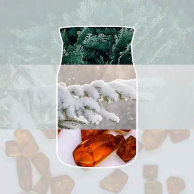Snow Kissed Pine Candle