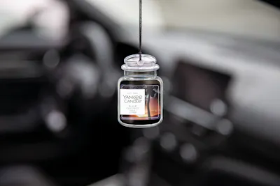 Black Coconut Car Air Freshener