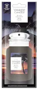 Black Coconut Car Air Freshener