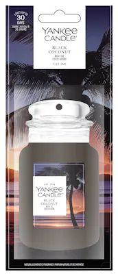 Black Coconut Car Air Freshener