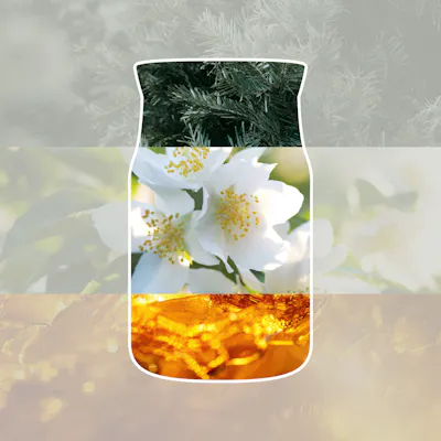 Silver Birch Candle