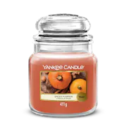 Spiced Pumpkin Candle