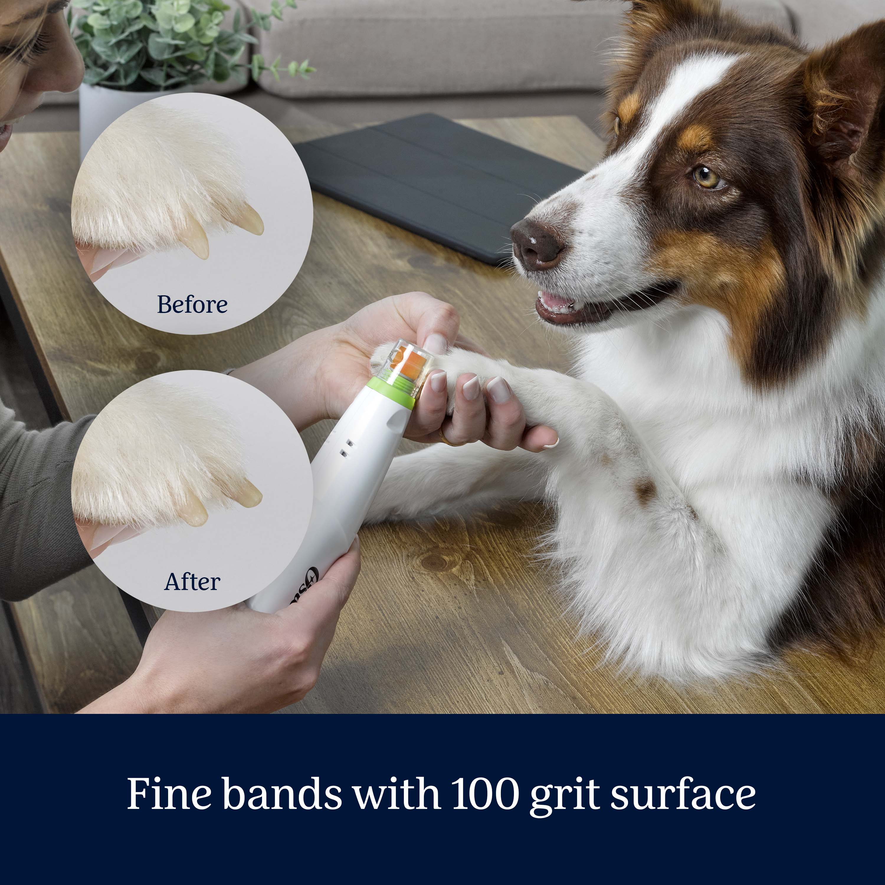 Oster® Pro™ Gentle Paws Pet Nail Grinder Replacement Kit