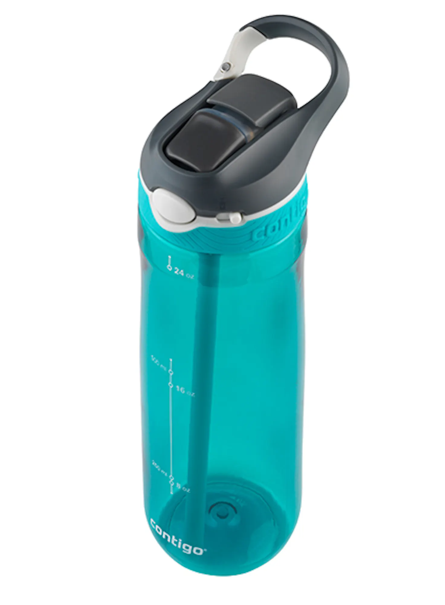 ASHLAND 24OZ SCUBA Water Bottle | Contigo