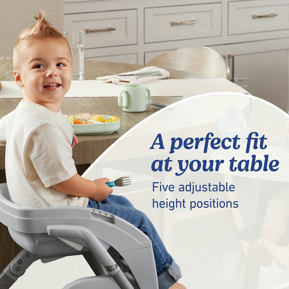 DuoDiner® DLX 6-in-1 Highchair Graco Baby