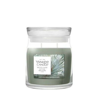 Silver Sage & Pine Kerze