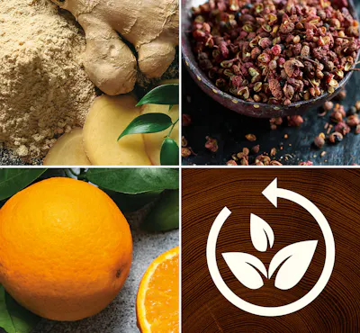 Ginger & Tumeric Kerze