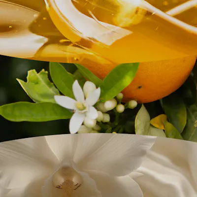 White Honey Candle